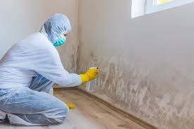 Reliable Crookston, MN Mold Removal Solutions